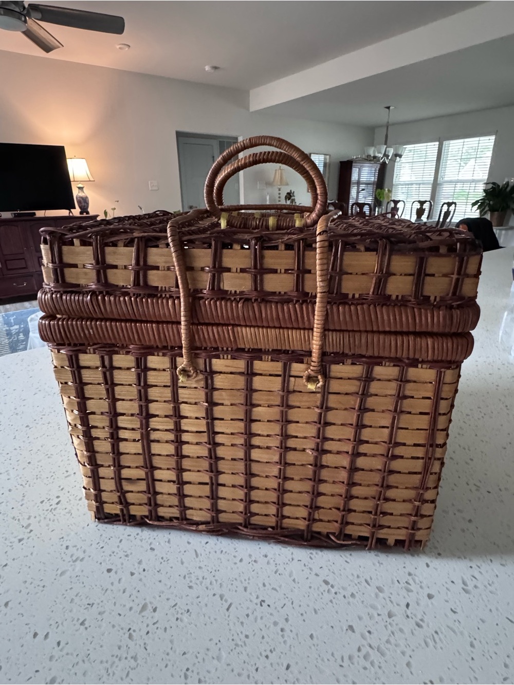 Vintage Woven Rattan Picnic Basket Tote in Natural and Dark Brown